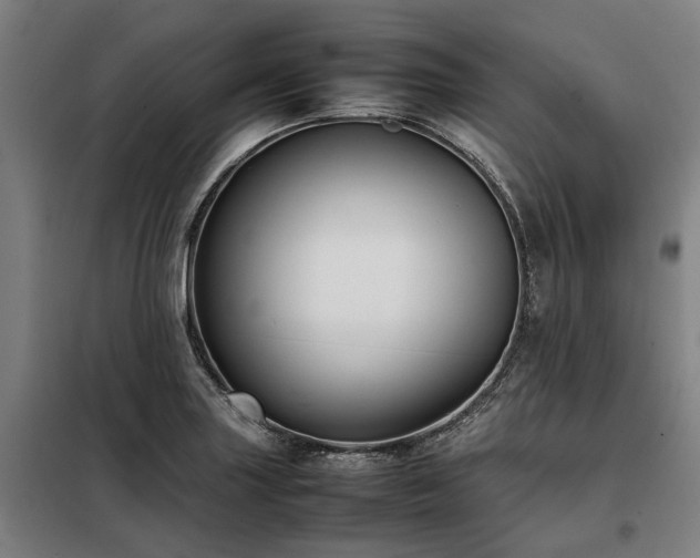 X0000098081227200804041141