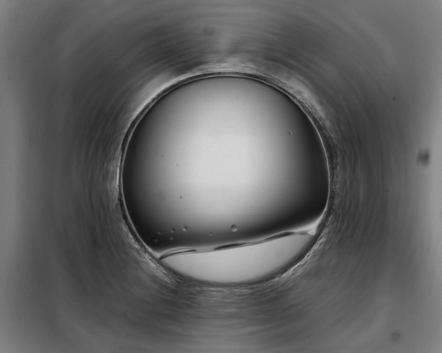 X0000098081228200804041141