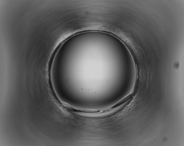 X0000098081230200804041141