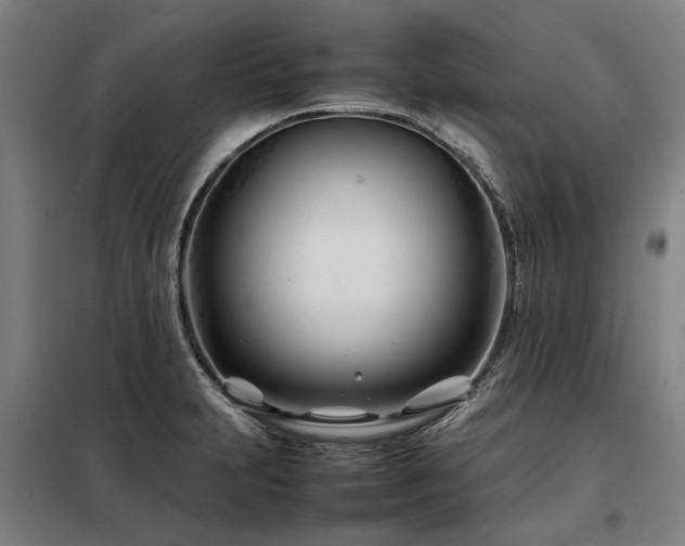 X0000098081231200804041141