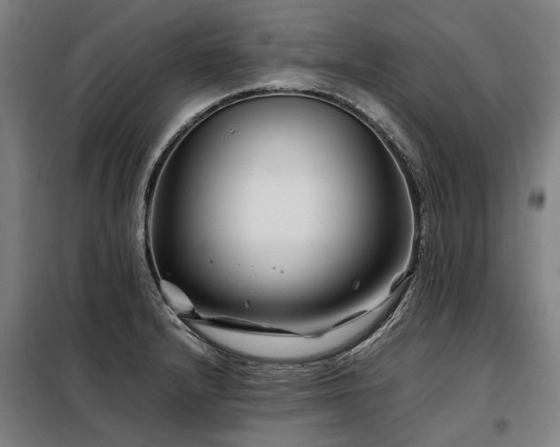 X0000098081232200804041141