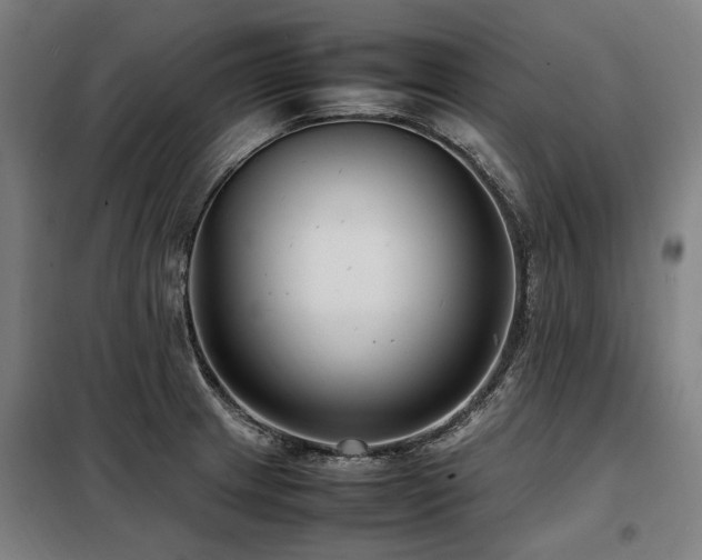 X0000098081233200804041141