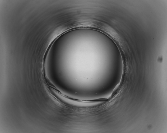 X0000098081234200804041141