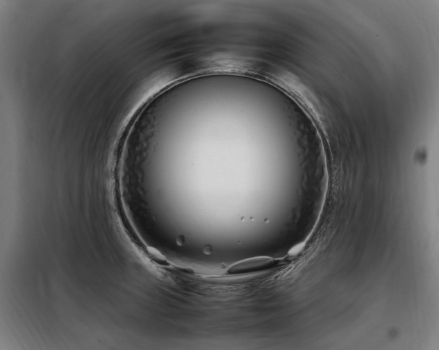 X0000098081235200804041141