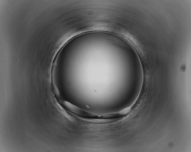 X0000098081236200804041141