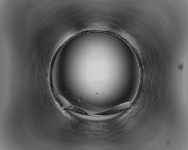 X0000098081237200804041141