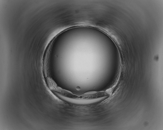 X0000098081239200804041141
