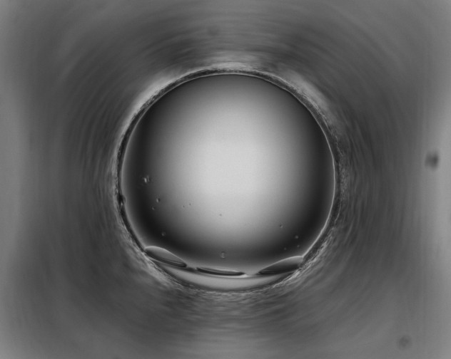X0000098081240200804041141