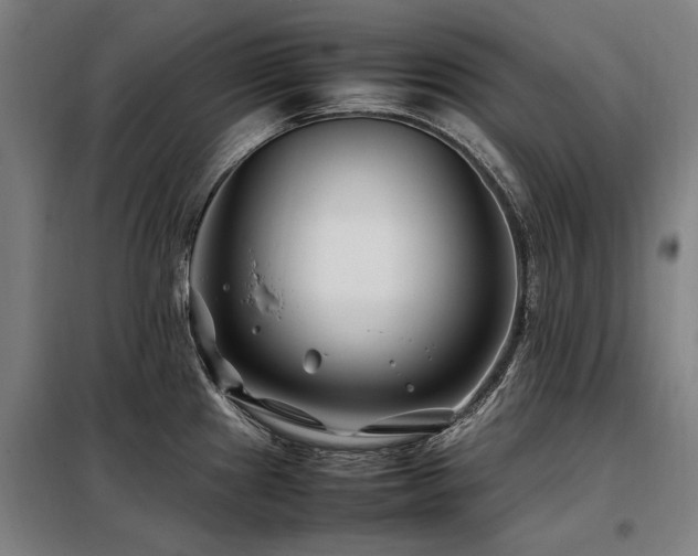 X0000098081241200804041141