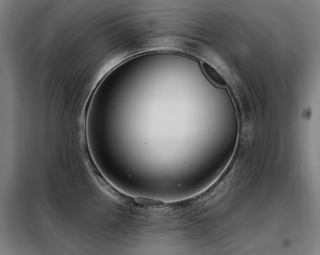 X0000098081242200804041141