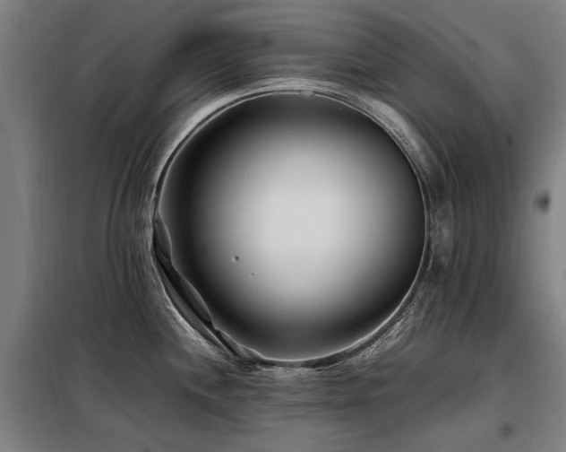 X0000098081244200804041141