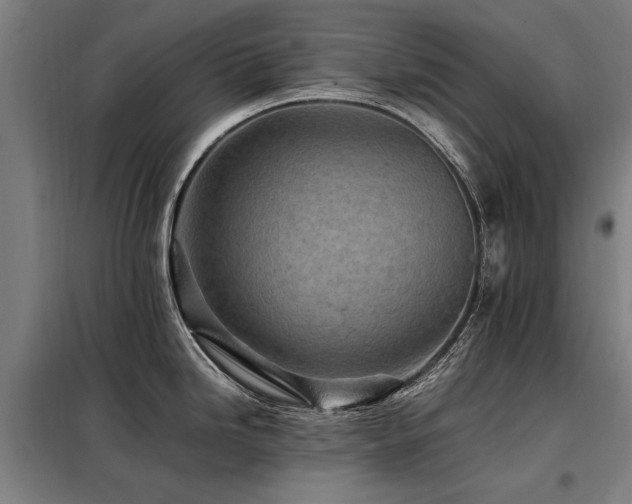 X0000098081246200804041141