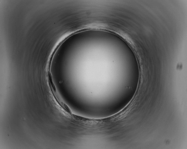 X0000098081248200804041141