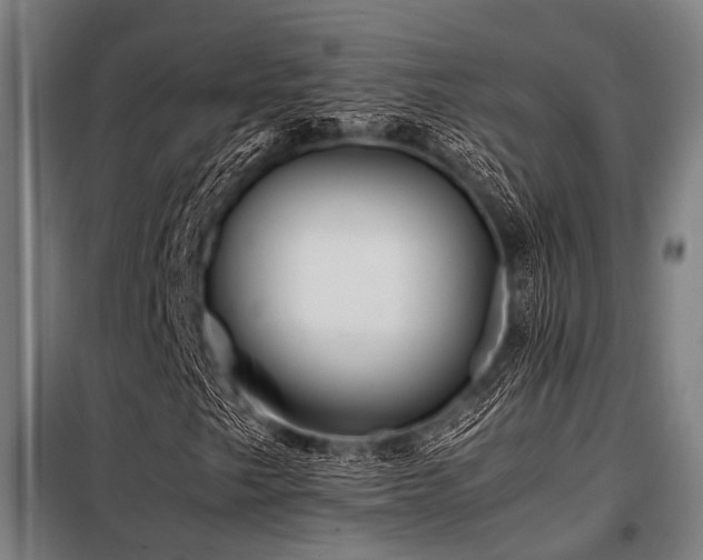 X0000098081249200804041141