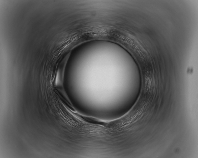 X0000098081250200804041141