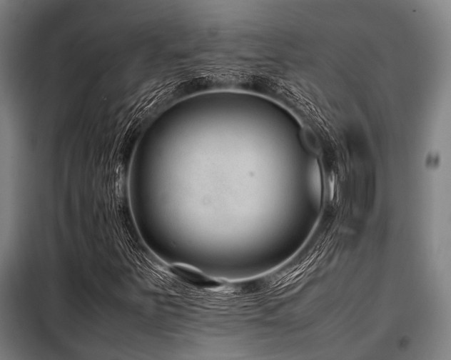 X0000098081251200804041141