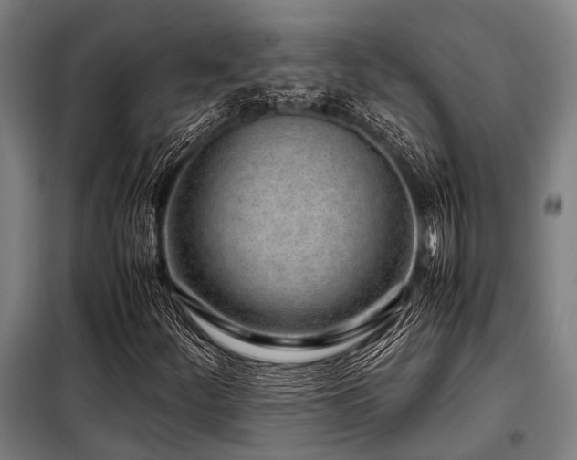 X0000098081252200804041140