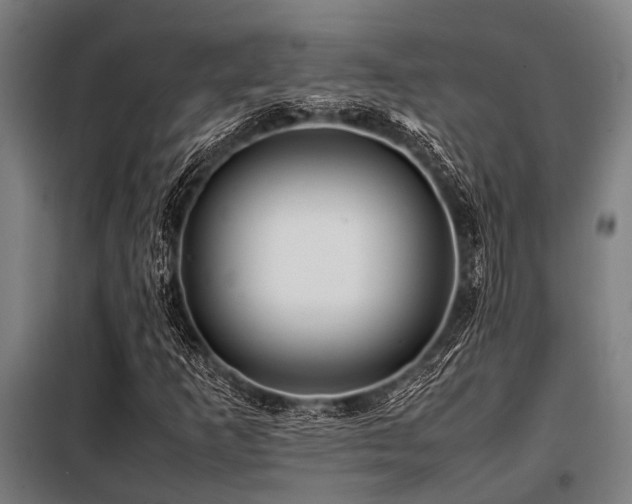 X0000098081253200804041140