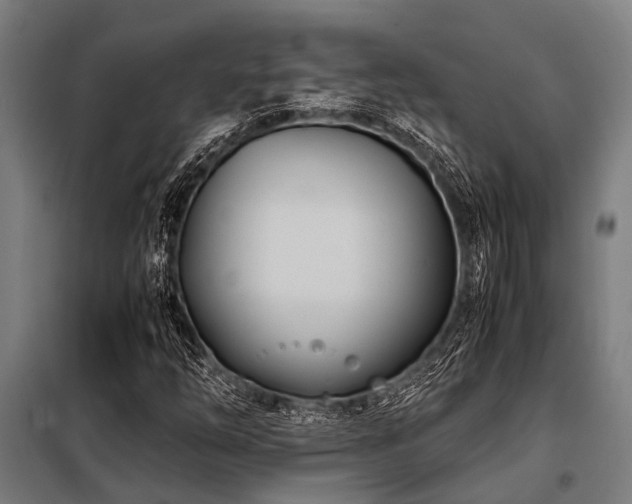 X0000098081254200804041140
