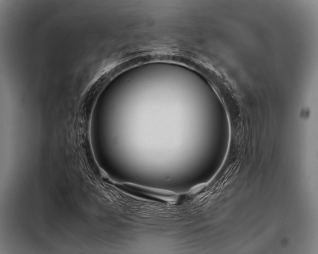 X0000098081255200804041140