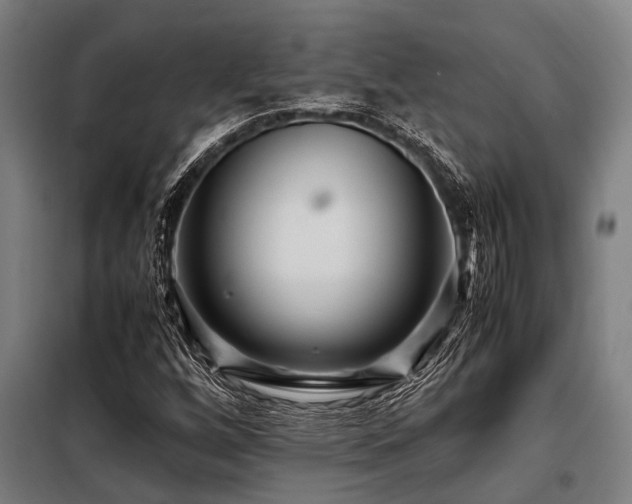 X0000098081256200804041140