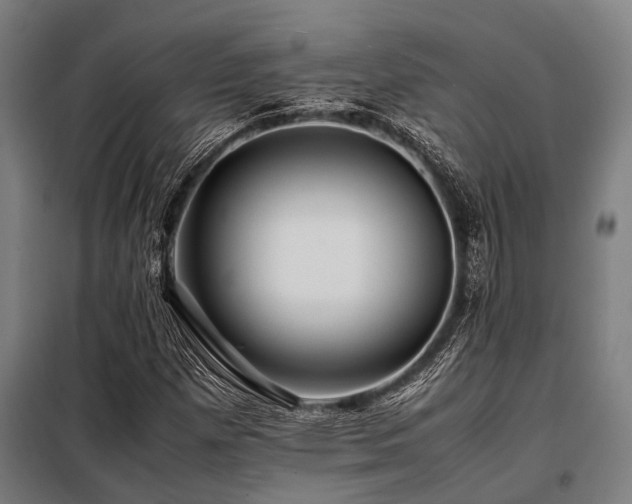 X0000098081257200804041140