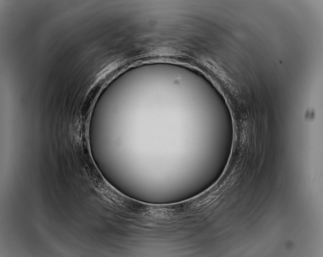 X0000098081258200804041140