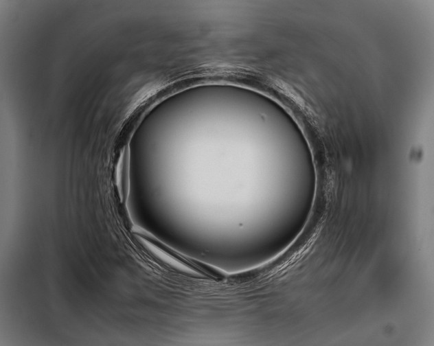 X0000098081259200804041140