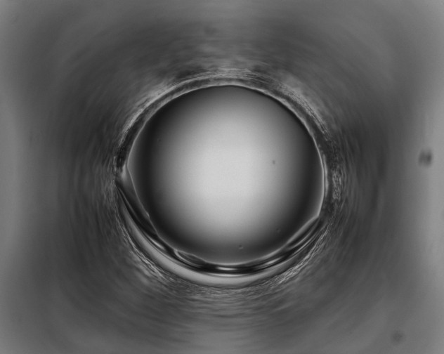 X0000098081260200804041140
