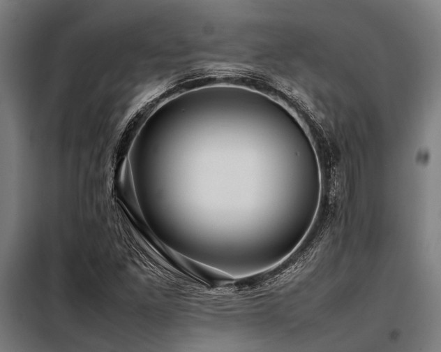 X0000098081261200804041140