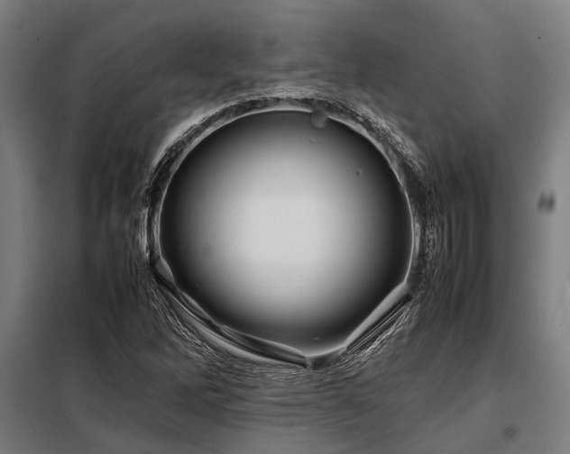 X0000098081262200804041140