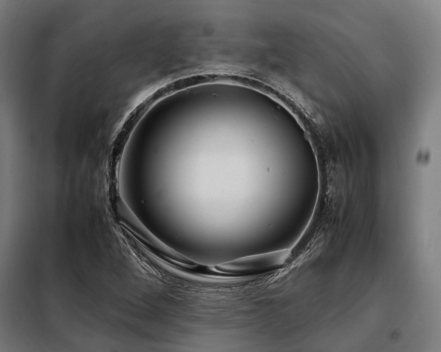 X0000098081264200804041140