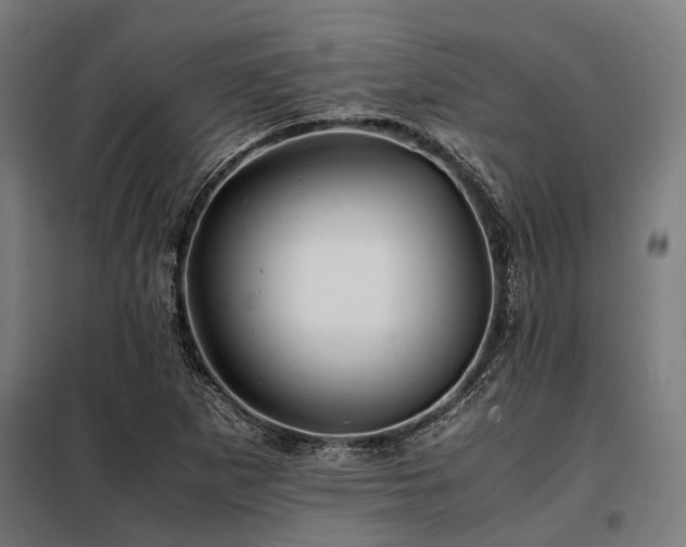 X0000098081265200804041140