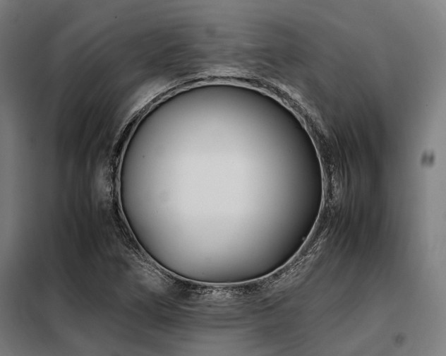 X0000098081266200804041140