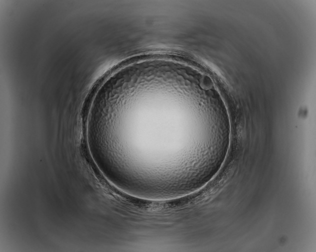 X0000098081267200804041140