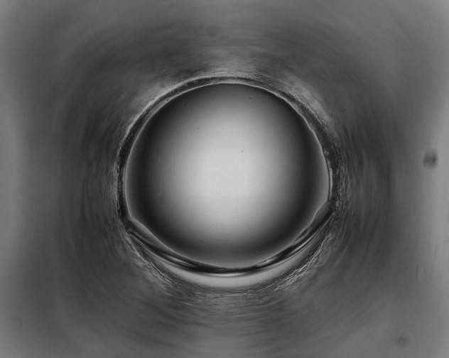 X0000098081268200804041140