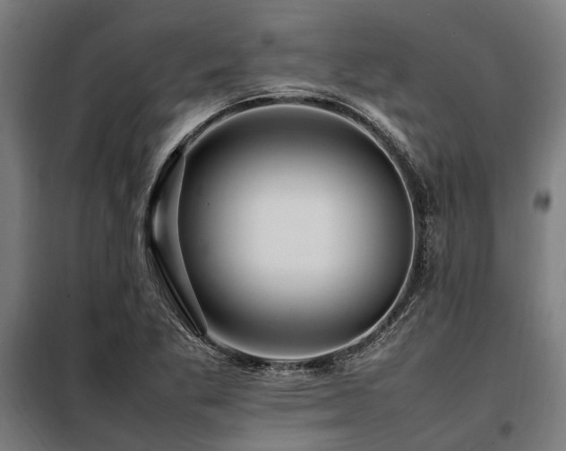 X0000098081269200804041140