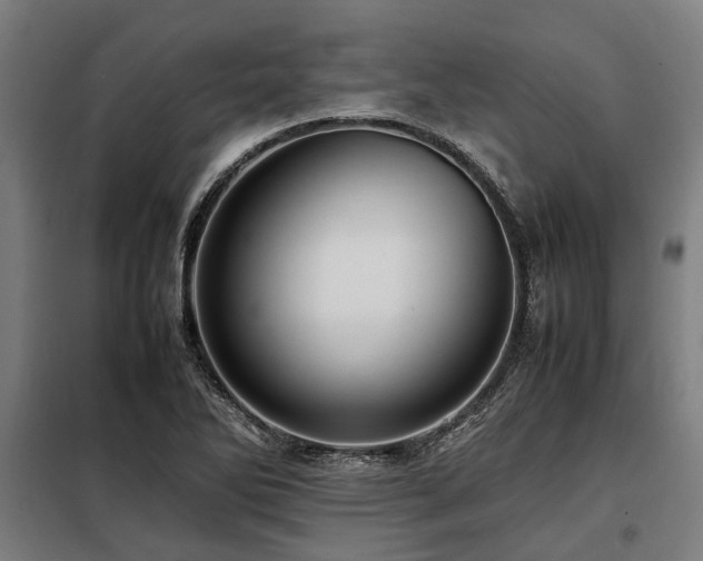 X0000098081270200804041140