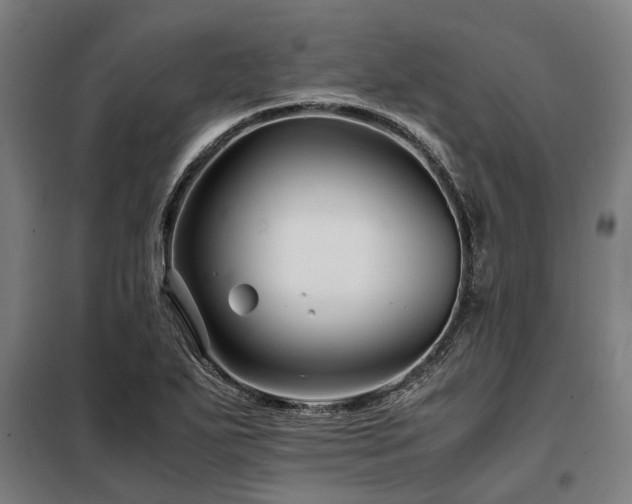 X0000098081271200804041140