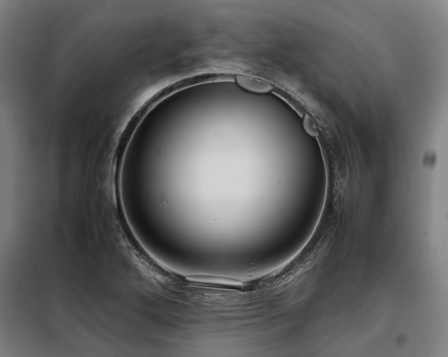 X0000098081272200804041140