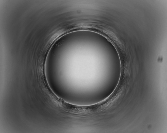 X0000098081273200804041140