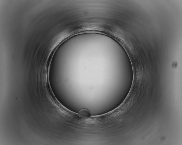 X0000098081274200804041140