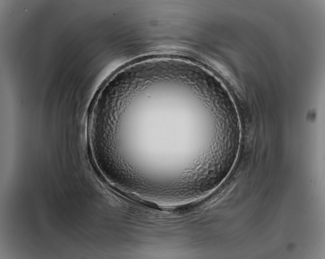 X0000098081275200804041140