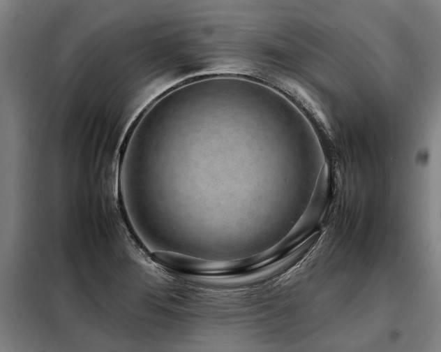 X0000098081276200804041140