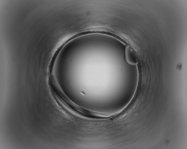 X0000098081277200804041140