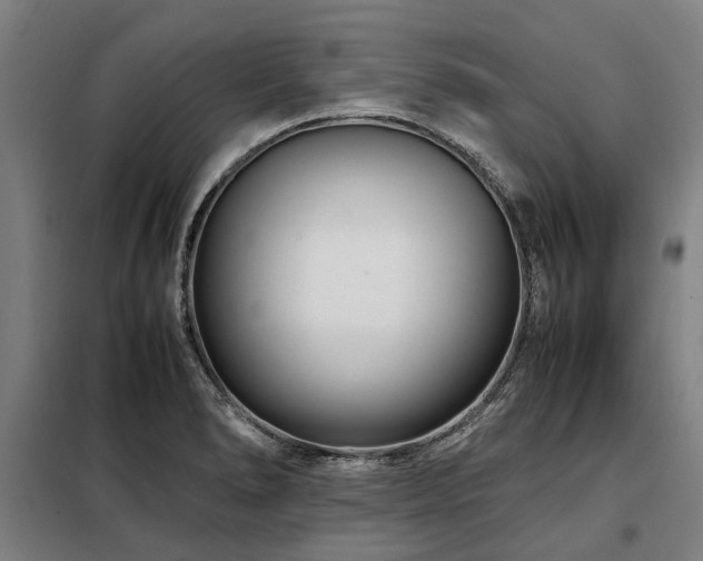 X0000098081278200804041140