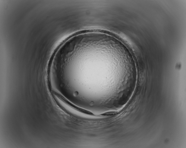 X0000098081279200804041140
