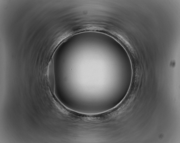 X0000098081281200804041140