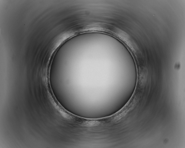 X0000098081282200804041140