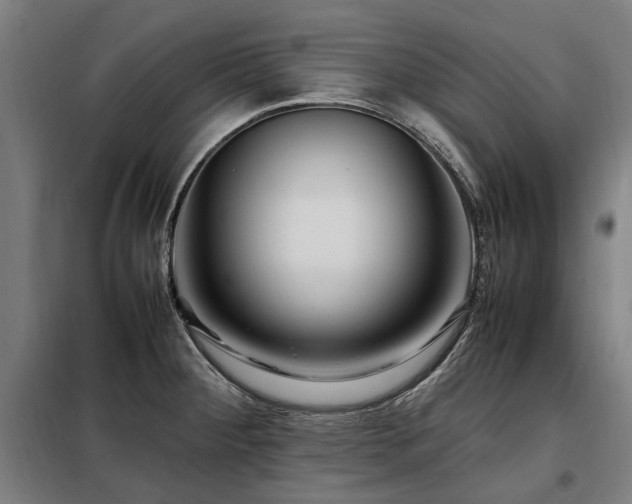 X0000098081284200804041140